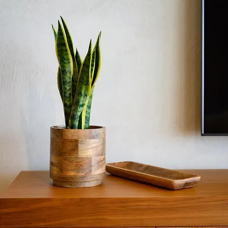 Eleven Excelsior Villa *